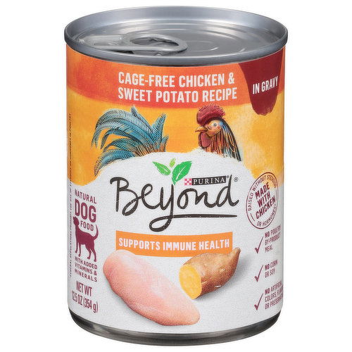 Purina Dog Food, Natural, Cage-Free Chicken & Sweet Potato Recipe, in Gravy