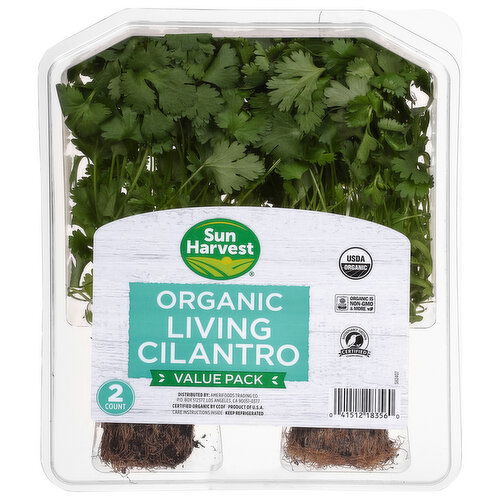 Sun Harvest Living Cilantro, Organic, Value Pack