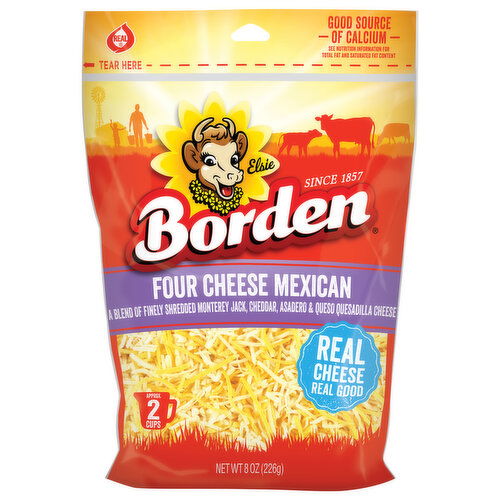 Borden Four Cheese Mexican