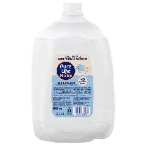 Pure Life Purified Water