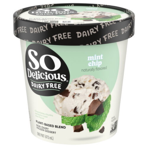 So Delicious Dairy Free Vegan Mint Chip Frozen Dessert