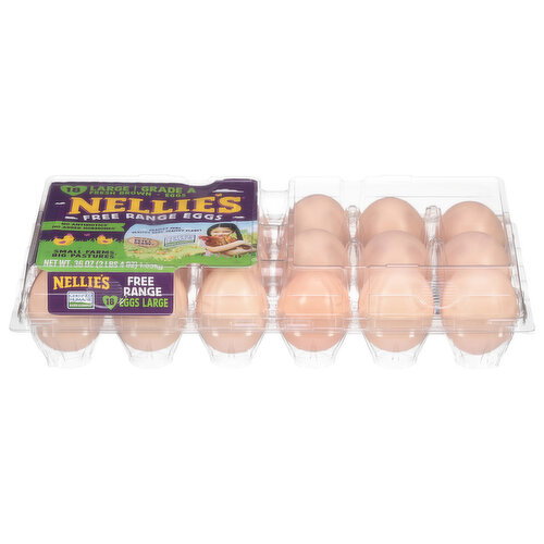 Nellies Free Large Eggs
