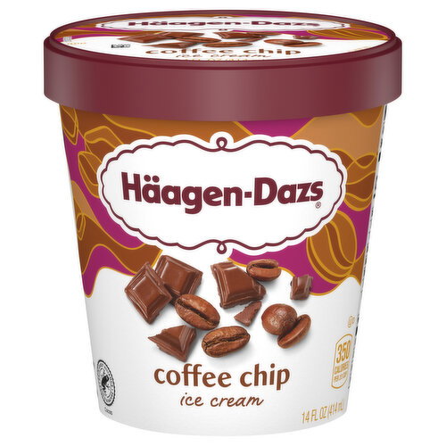 Haagen-Dazs Coffee Chip Ice Cream