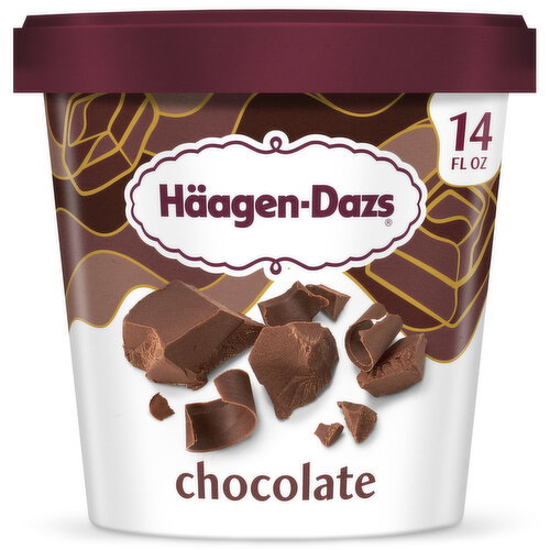 Haagen-Dazs Chocolate Ice Cream Image 1 of 11