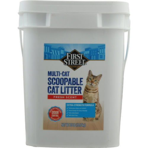 First Street Cat litter, Scoopable, Multi-Cat, Fresh Scent