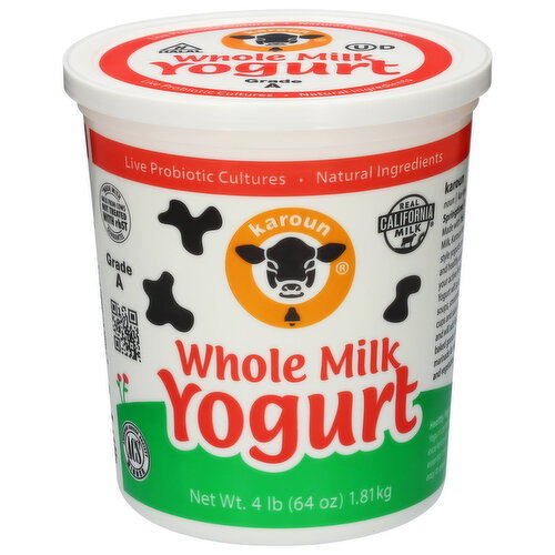 Karoun Whole Milk Yogurt Image 1 of 6