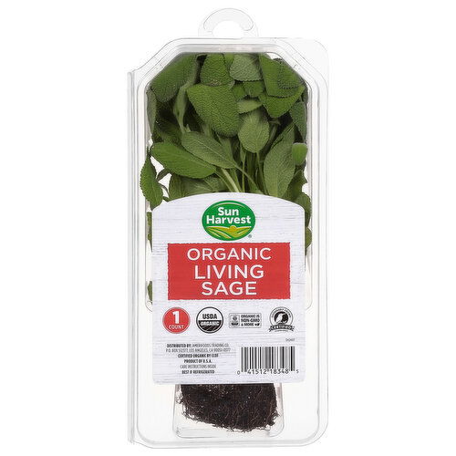 Sun Harvest Living Sage, Organic