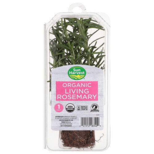 Sun Harvest Living Rosemary, Organic