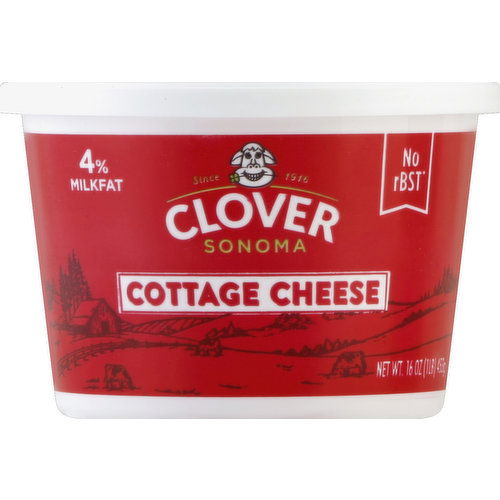 Clover Cottage Cheese, 4% Milkfat