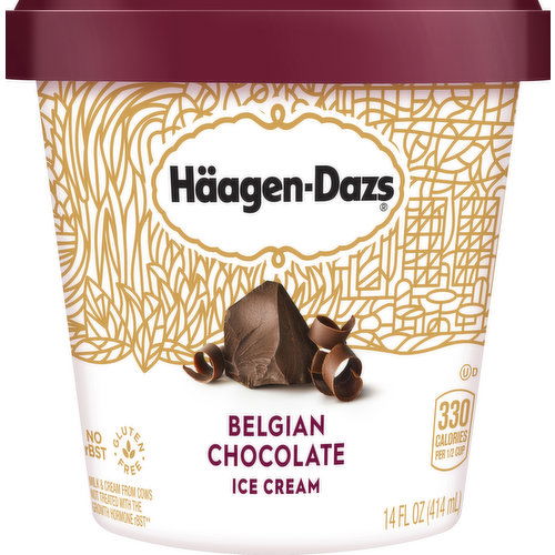 Haagen-Dazs Ice Cream, Belgian Chocolate