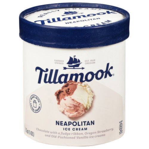 Tillamook Neapolitan Ice Cream Image 1 of 6