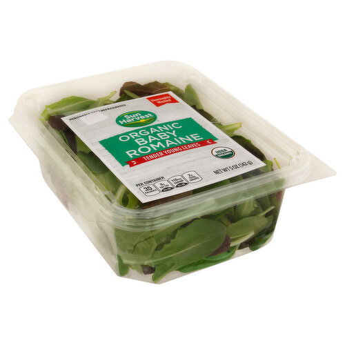 Sun Harvest Organic Baby Romaine Image 1 of 6