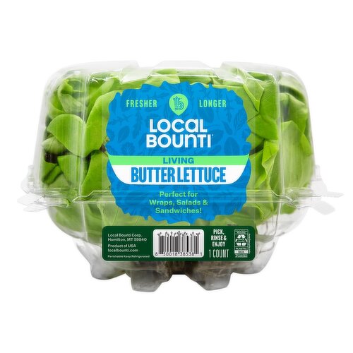 Living Butter Lettuce