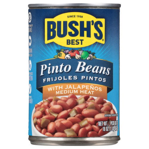 Bush's Best Medium Heat Pinto Beans with Jalapenos