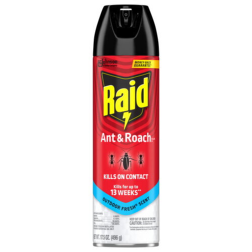 Raid Outdoor Fresh Scent Ant & Roach Killer 26