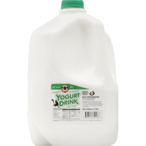 Karoun Yogurt Drink, Mint Flavor