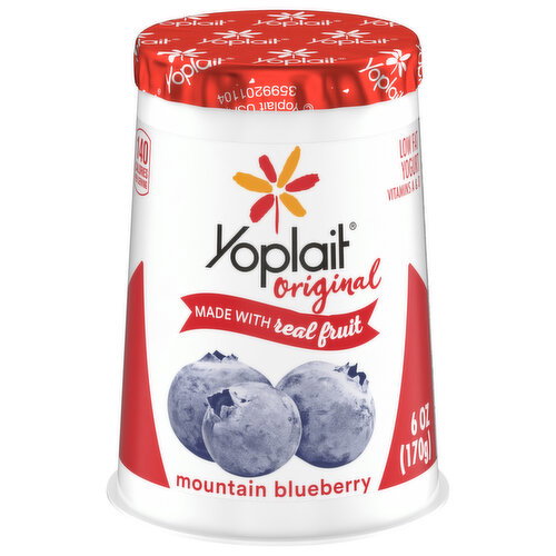 Yoplait Low Fat Mountain Blueberry Yogurt Image 1 of 6