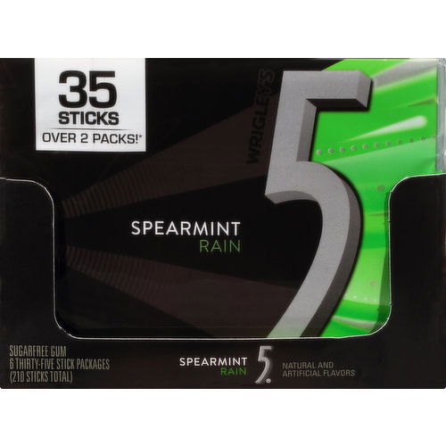 5 Gum, Sugar Free, Spearmint Rain