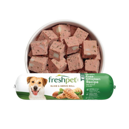 Freshpet Healthy & Natural Dog Food, Fresh Grain Free Chicken Roll, 1.5lb Image 1 of 11