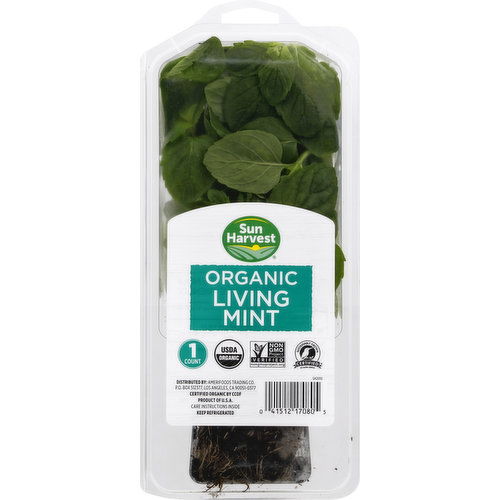 Sun Harvest Living Mint, Organic