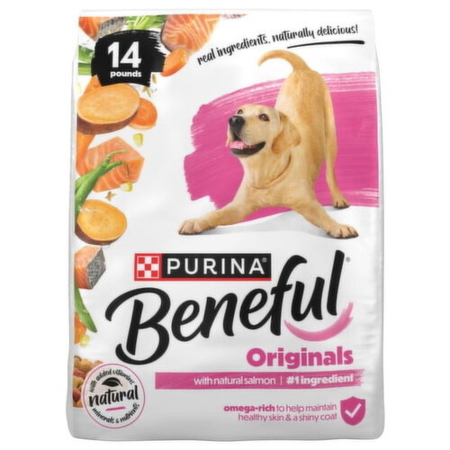 Beneful Natural Adult Natural Salmon Food for Dogs Image 1 of 5