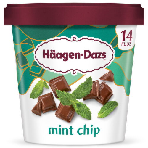 Haagen-Dazs Mint Chip Ice Cream Image 1 of 11