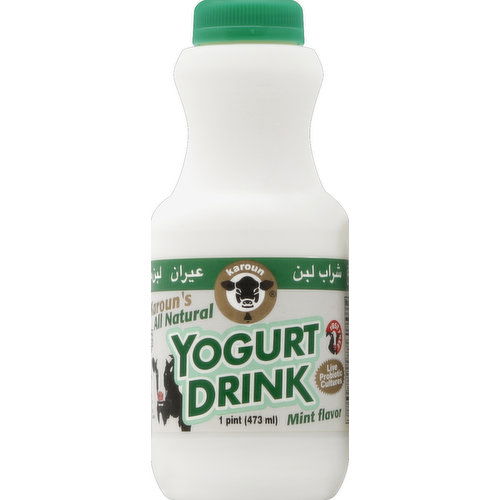 Karoun Yogurt Drink, Mint Flavor