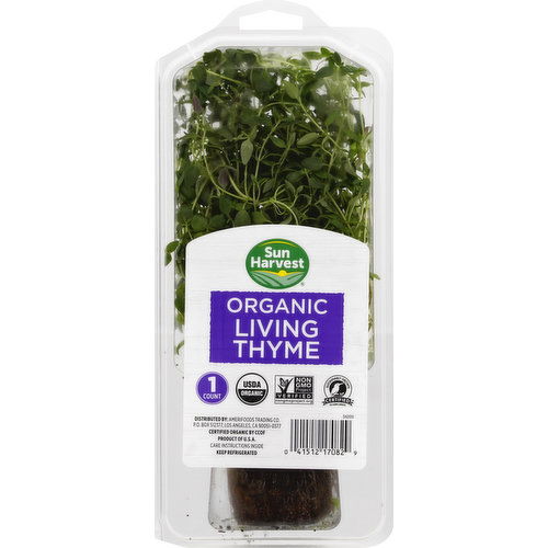 Sun Harvest Living Thyme, Organic