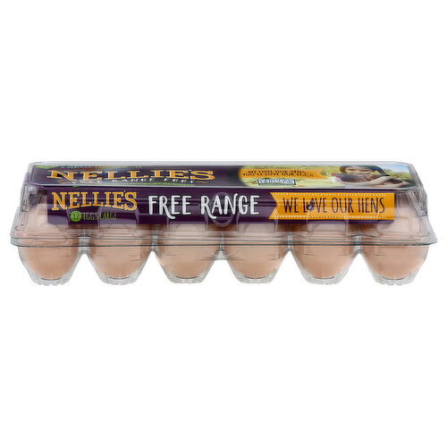 Nellie's Free Range Fresh Brown Large Eggs Image 1 of 2