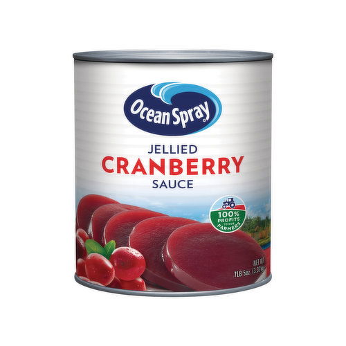 Ocean Spray Jellied Cranberry Sauce