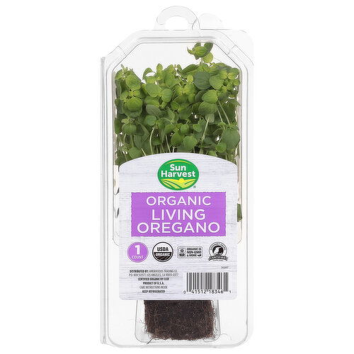 Sun Harvest Living Oregano, Organic