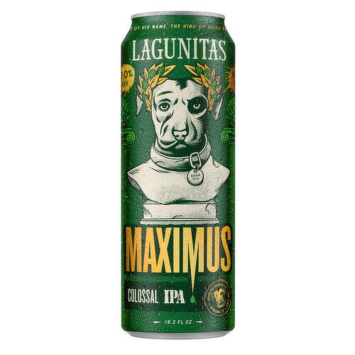 Lagunitas Single 19.2 fl. oz. Can