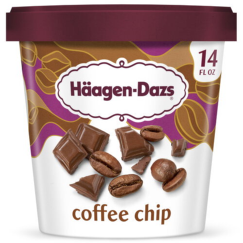 Haagen-Dazs Coffee Chip Ice Cream Image 1 of 11