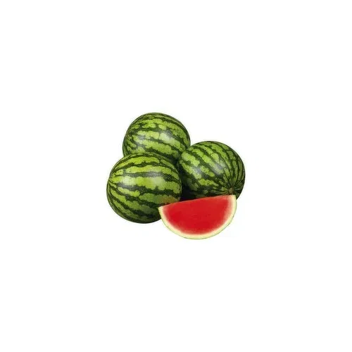 Seedless Watermelon