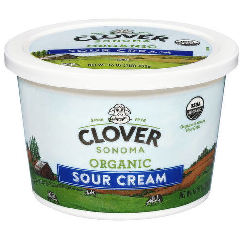 Clover Sonoma Organic Sour Cream