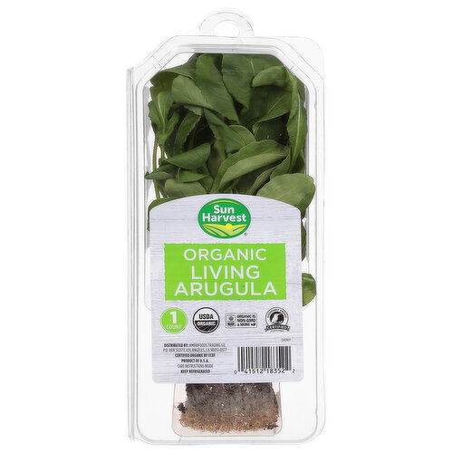 Organic Arugula