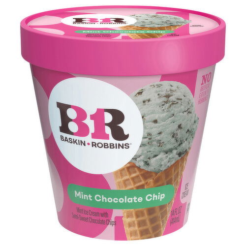 Boardwalk Mint Chocolate Chip Ice Cream