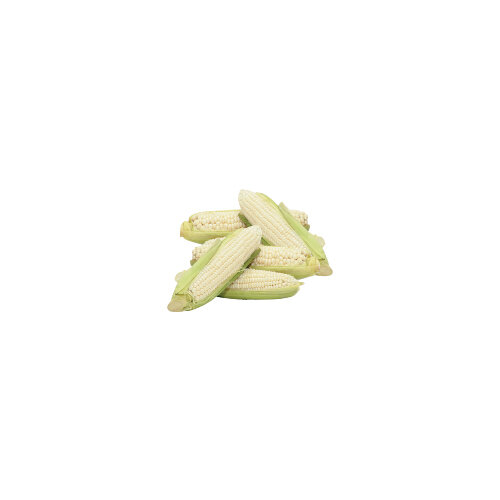 Fresh White Corn