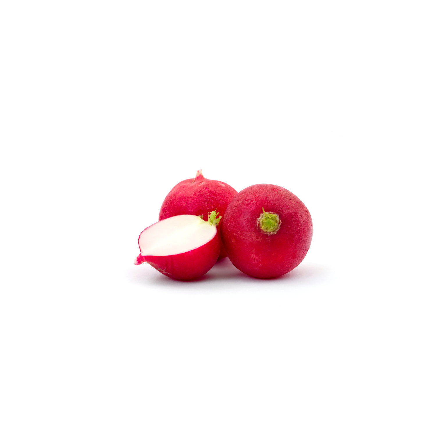 radishです。 Radish Seeds - Sparkler White Tip | Vegetable Seeds in