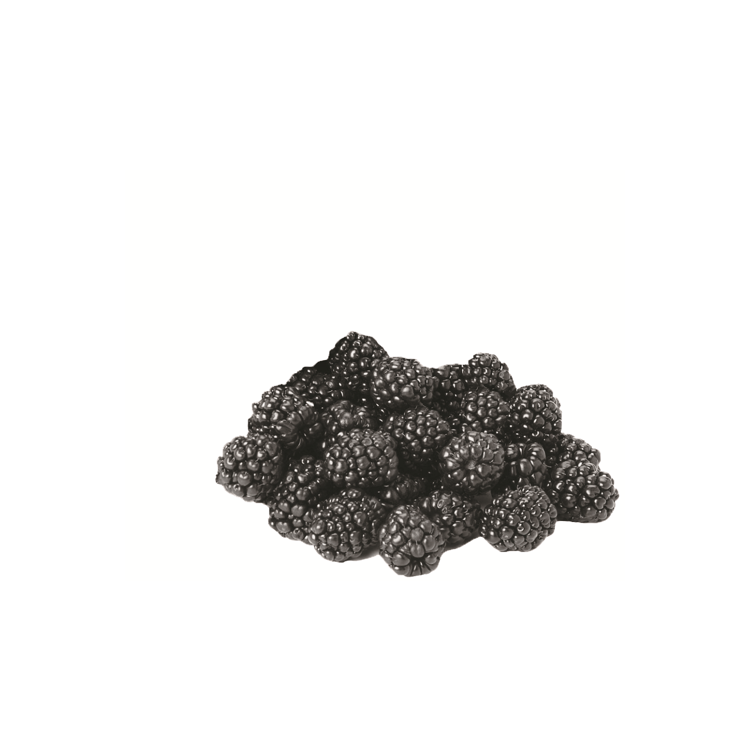 blackberries.png