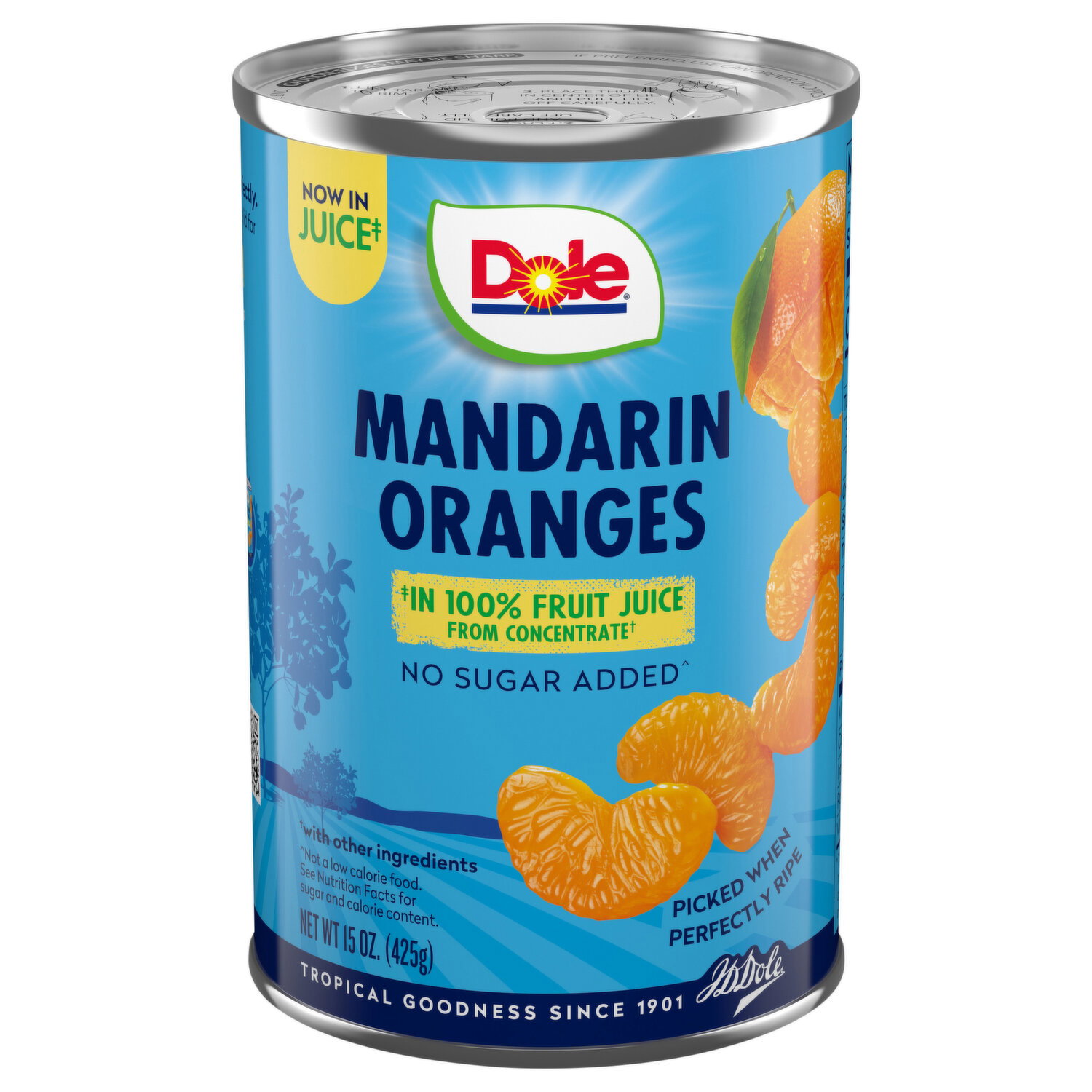Can Dogs Eat Canned Pears in 100 Fruit Juice Nutrition? Safe or Risky?